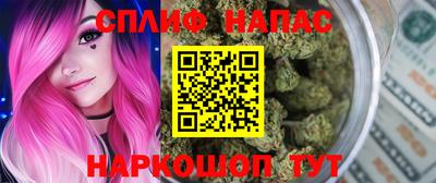 индика Кунгур