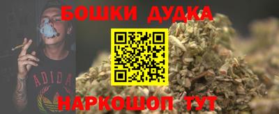 индика Кунгур
