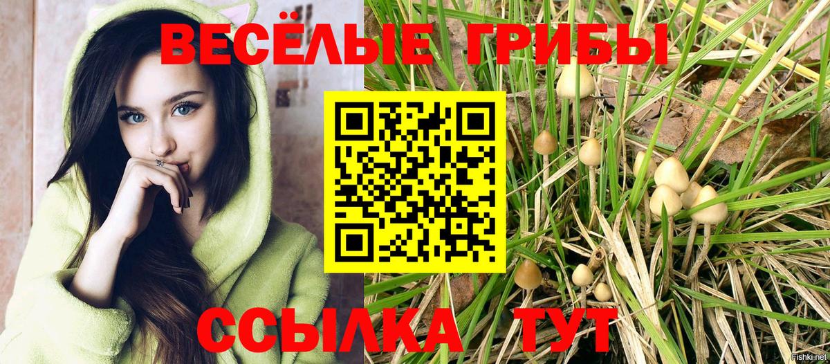 Галлюциногенные грибы мухоморы  Галлюциногенные грибы Cubensis  Вход с VPN  Гай 