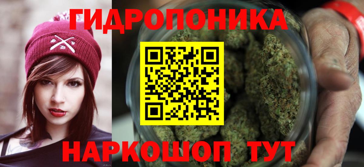 Гай  Марихуана планчик  МАРИХУАНА конопля  Вход с VPN  Бошки марихуана White Widow 